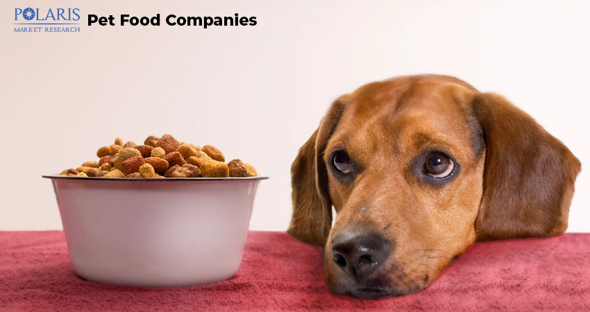 Top 10 Pet Food Providers in 2025